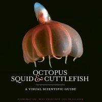 Prof Louise Allcock (@drshmoo) 's Twitter Profile
