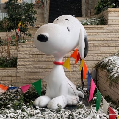 Gq0vYrLnOYBzDFI's profile picture. 