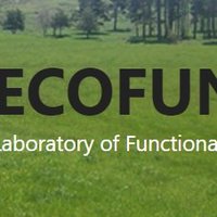 Ecofun Lab(@EcofunLab) 's Twitter Profile Photo