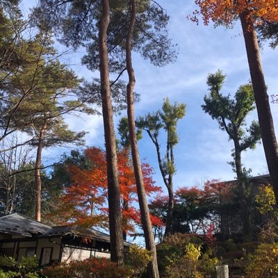 muumura2's profile picture. IDmuusanmu七段/ピン東/NLH/MTT