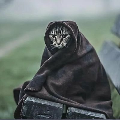Black_88_White3's profile picture. Я думаю -- це означає що живу!