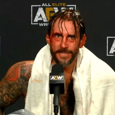 cm punk forever