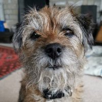 Sally Costelloe (@sallycostelloe) 's Twitter Profile Photo Sally Costelloe (@sallycostelloe) 's Twitter Profile Photo