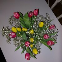 Anne-Cathrin (@spielplatzmama) Twitter profile photo