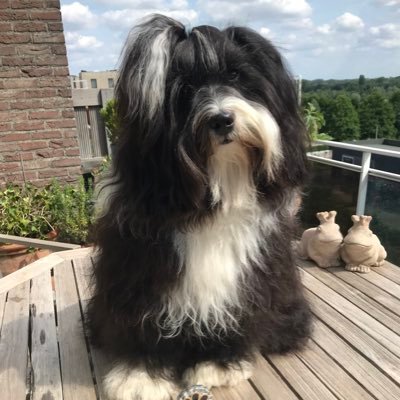 helga_nagels's profile picture. 