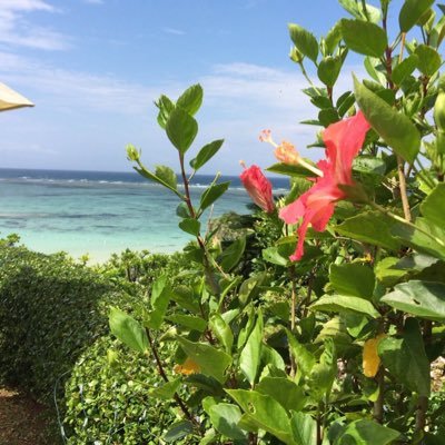 RbQsnwSjNxjTke1's profile picture. 市民農園デビューしました！#野菜作り#家庭菜園#菜園初心者#畑#花壇•袋•プランター栽培#4年目になりました♪