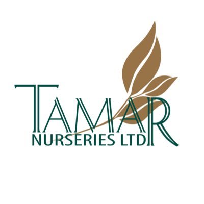 Tamar Nurseries was established in 1979. Helping Landscapers, Designers, Local authorities, Architects & More. #plantnursery #trees #shrubs