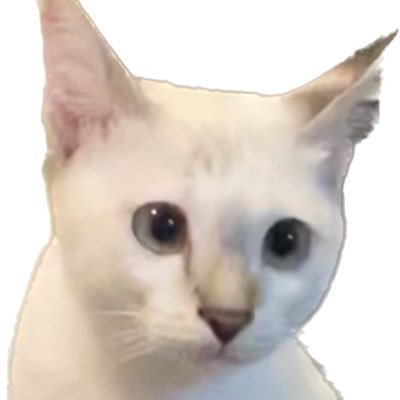 suchqq's profile picture. เมื่อคิดให้ดีโลกนี้ประสาท 🥦