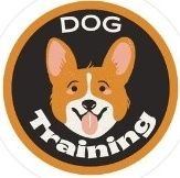 Become an expert in dog training and teach your dog everything you want. Our Ebook will help you achieve the desired results with any breed of dog.