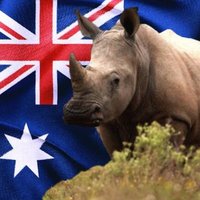 Aussie Rhyno 🇦🇺 (@arhyno2) 's Twitter Profile