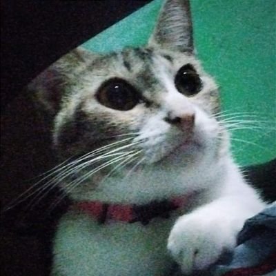 AjBagumbayan's profile picture. 