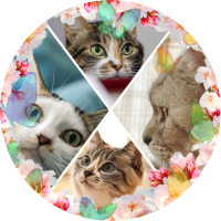 とみこちゃん@猫と虫㌠只今石ﾌﾞｯｺﾛﾓｰﾄﾞ (@tomikopinkcats) 's Twitter Profile Photo