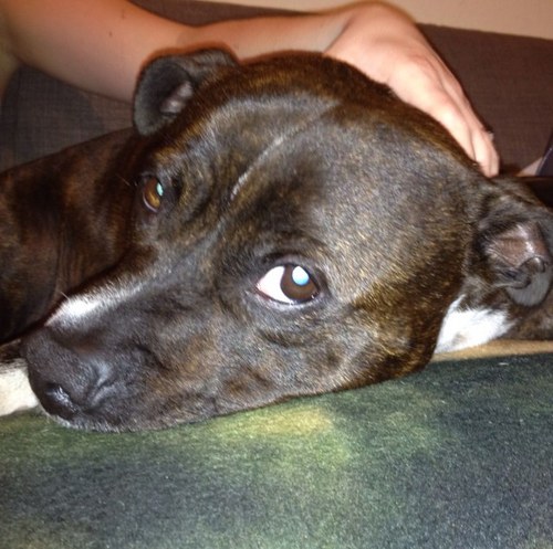 JohnTommo82's profile picture. 