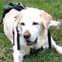 Dan Howe - @dhoweseattle - Twitter