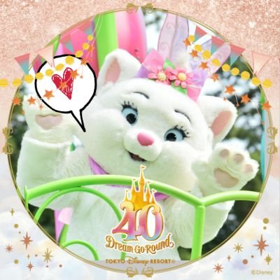 𝑨𝒎𝒊𝒄𝒉𝒊🐈🤍さんのプロフィール画像