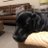 mr_anderson1104's profile image