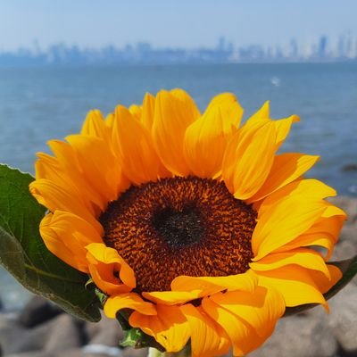 HersheySaysWhat's profile picture. One half of Witchaar with Moon & Hershey! (@Witchaaris) 🎙 This space for all the musings that don’t make it to the podcast 😬 https://t.co/Tqsi6XkdWc