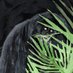 The Circus Animals' Disbarment (@biclaggedinclay) Twitter profile photo The Circus Animals' Disbarment (@biclaggedinclay) Twitter profile photo