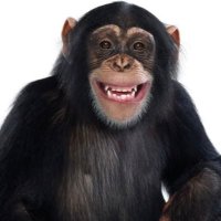 QuestionEverything(@skeptic_ape) 's Twitter Profile Photo