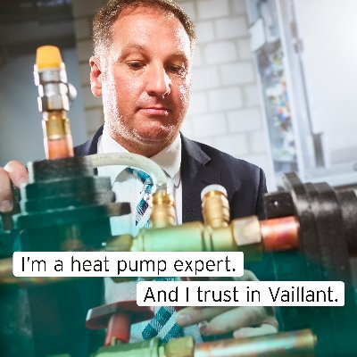 mark_vaillant's profile picture. Regional Business Manager for Vaillant Renewables covering SY, TF, ST, DE, S, DN, LN, NG, DE, WS, WV, DY, WR, B, CV, LE, OX, HP, LU, MK, NN, PE Areas
