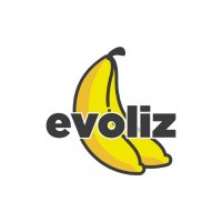 Evoliz(@evolizfr) 's Twitter Profile Photo