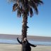 Conan't ⭐⭐⭐ (@chapita) Twitter profile photo Conan't ⭐⭐⭐ (@chapita) Twitter profile photo