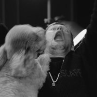 клептоман параноик (@kleppar) 's Twitter Profile