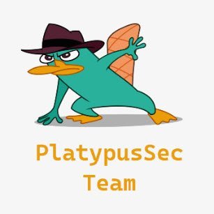 New ways to overcome limitations. 
Platypus Smart VPN for Safe passage through filtering