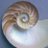 katzeal's profile image