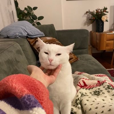 CanTutuncu_es's profile picture. Doğru duvar yıkılmaz.