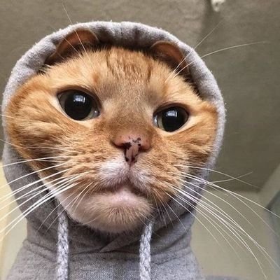 ncsntg's profile picture. putanginaaaaaaa