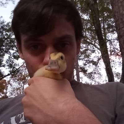 Christian. Goon. Mises Libertarian🇺🇸.
https://t.co/xSRZMyyvJB streamer.
Fighting games. @ramsaurfgc
Objective thinker. 
Duck enthusiast. 
Masculinity.
Film.