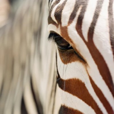 awitity's profile picture. Assume Nothing 💂‍♀️, Believe No-One 👮‍♂️, Scrutinize Everything 🔬-Move Fast♟️⚡️
BINGAGURU-CHIVARA-BVUMBI CHIFAMBAUSIKU....