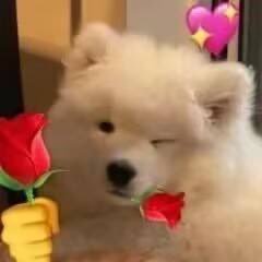 Kamaitahl's profile picture.
