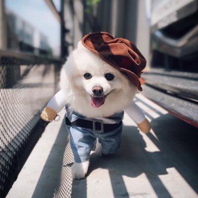 a_photopr's profile picture. สร้างภาพคืองานของเรา