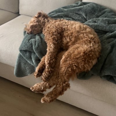 philIipontacos's profile picture. 