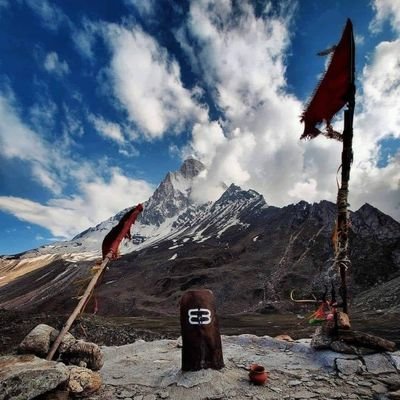 StillExsist's profile picture. 