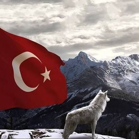 FeArLeS34_'s profile picture. Varsa Uzun Ömrüm ALLAH Senin Ömrüne Katsın... Ben Olmazsamda Olur ama Sen Bu Ümmete ve Millete Lazımsın @RTErdogan