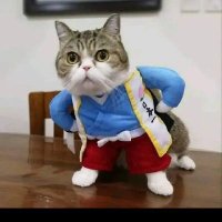 Cobra (@norublenogas) 's Twitter Profile Photo