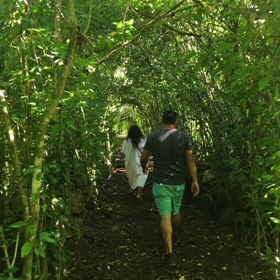 waikikiAC's profile picture. No olvidamos, No perdonamos, No nos reconciliamos.