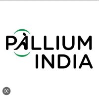 PalliumIndiaUSA (@palliumindiaus) 's Twitter Profile