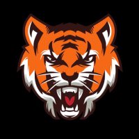 Tigerprofitprofessor(@Tiger_Profit) 's Twitter Profile Photo