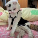 Nicolas Hendrix - @NicolasHendrix8 - Twitter