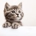 Mali41332A (@mali41332a) Twitter profile photo Mali41332A (@mali41332a) Twitter profile photo