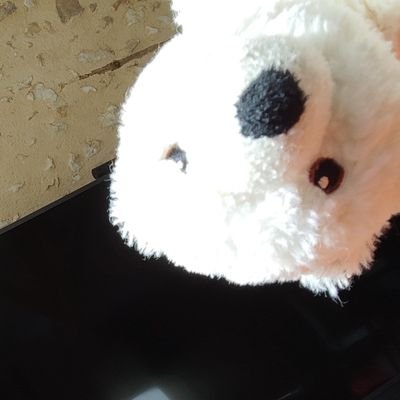 Bigiwok's profile picture. #TCG : 2551-7993-8103-1080 👾