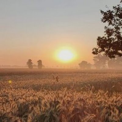 NocnyObserwator's profile picture. 