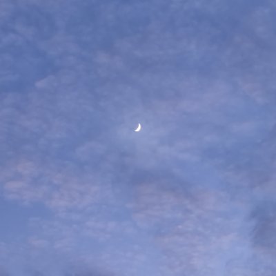 FYLSSWXZZ's profile picture. HARUTO × JUNKYU / 渡边温斗×金俊奎 / 🦋🐨