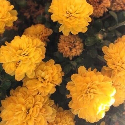 Yarey137's profile picture. 