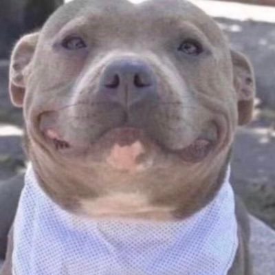 youngmiles_'s profile picture. 