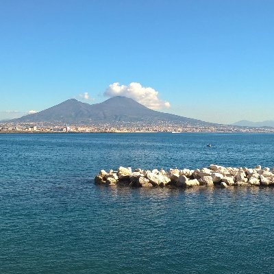 June_Gomes1's profile picture. Love nature, people, and places.